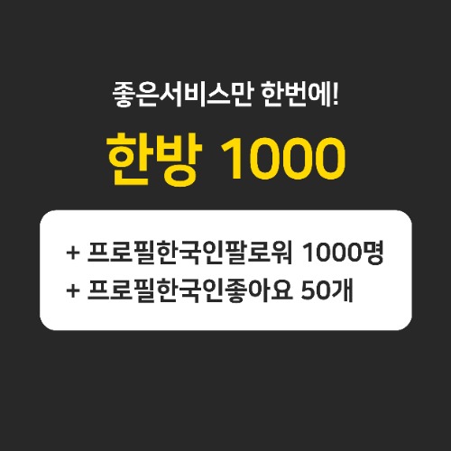 인스타팔로워,좋아요늘리기ㅣ인스타고 - [한국인] 한방관리1000